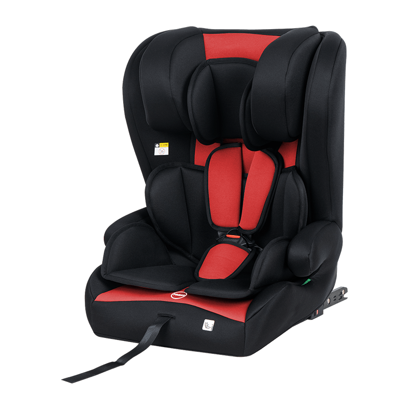 Warum ist die rückwärtsgerichtete Installation Ihres Babyautositzes so wichtig?